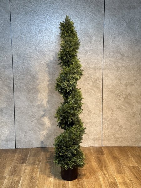 شجرة سروي T-22